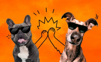 International Dog Day